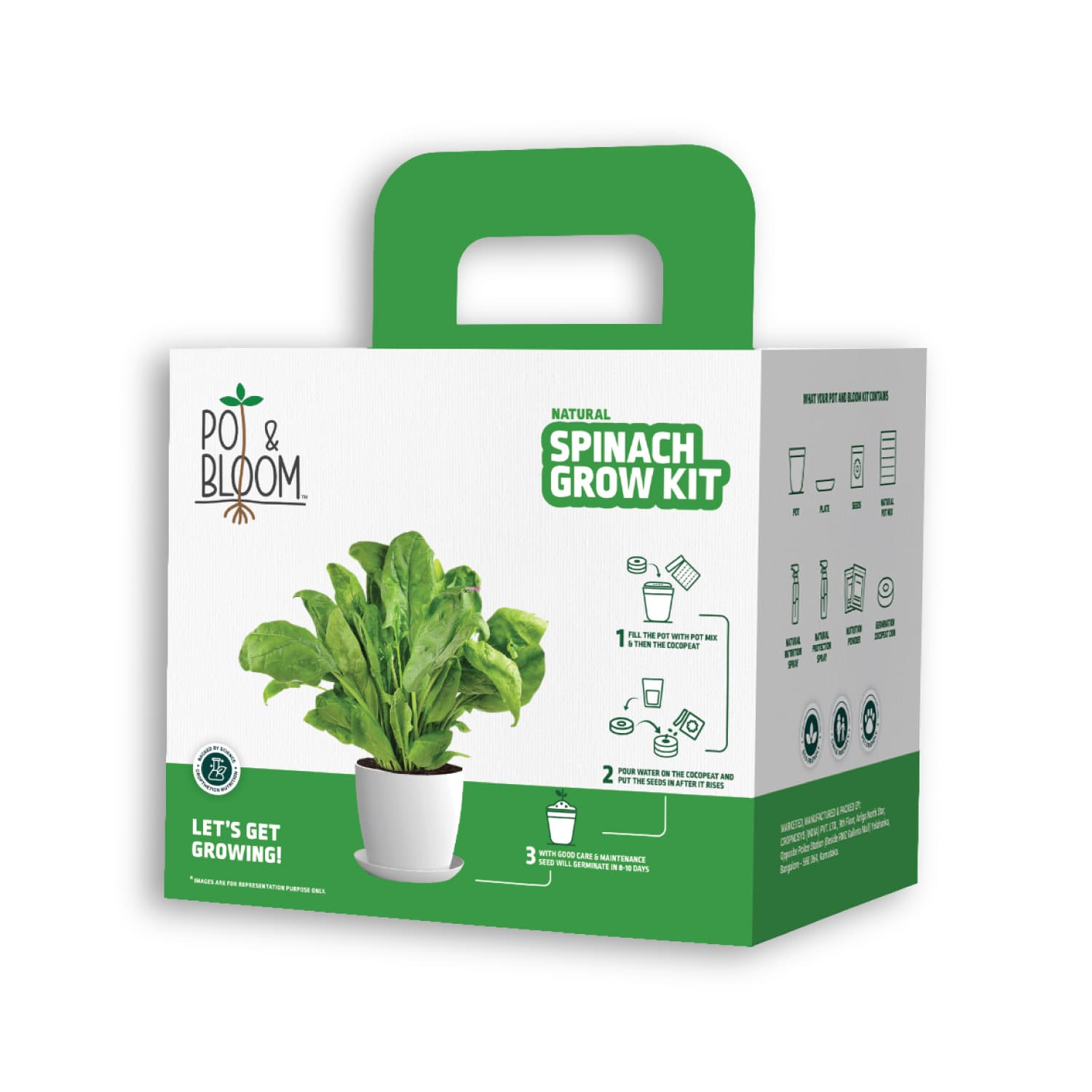 Spinach Kit