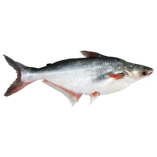 Basa (Pangas) 1 Kg