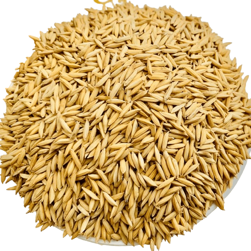 Paddy (RNR) 50kg