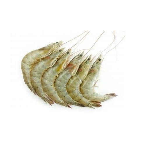 Medium Prawns 500 gms