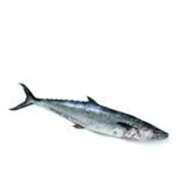 Anjal Seer Fish Vanjaram 500 Gms