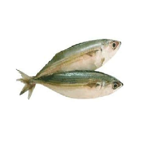 Aila Fish / Bangada / Mackerel 500 gms