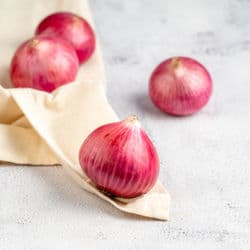 Onion  2.5 Kg
