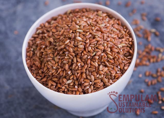 Arubatham Kuruvai (Raw Rice) - 500 Gms