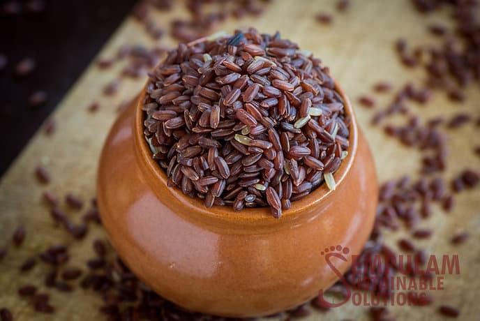 Kaivari Samba (Boiled Rice) - 500 Gms