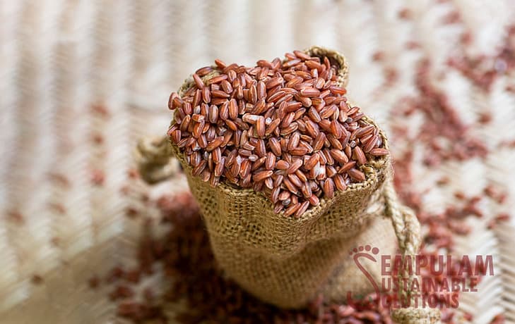 Navara (Raw Rice) - 500 Gms