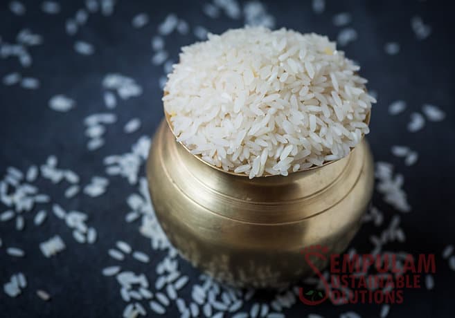 Thooyamalli (Raw Rice) - 500 Gms