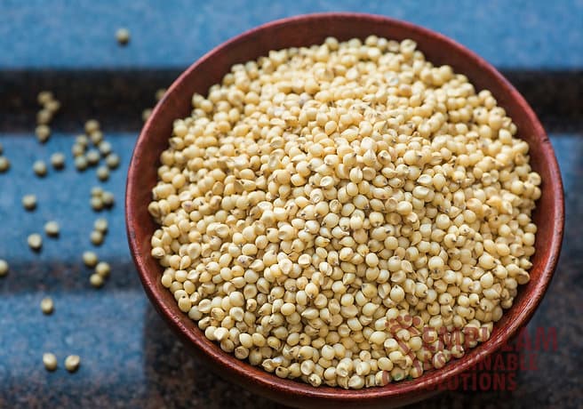 Great Millet - 500 Gms