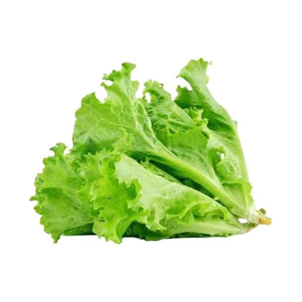Agrify Fresh Lettuce - Green 1 Pcs