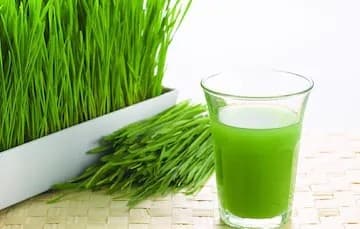Ruchira Fresh Wheatgrass Juice 200 Ml