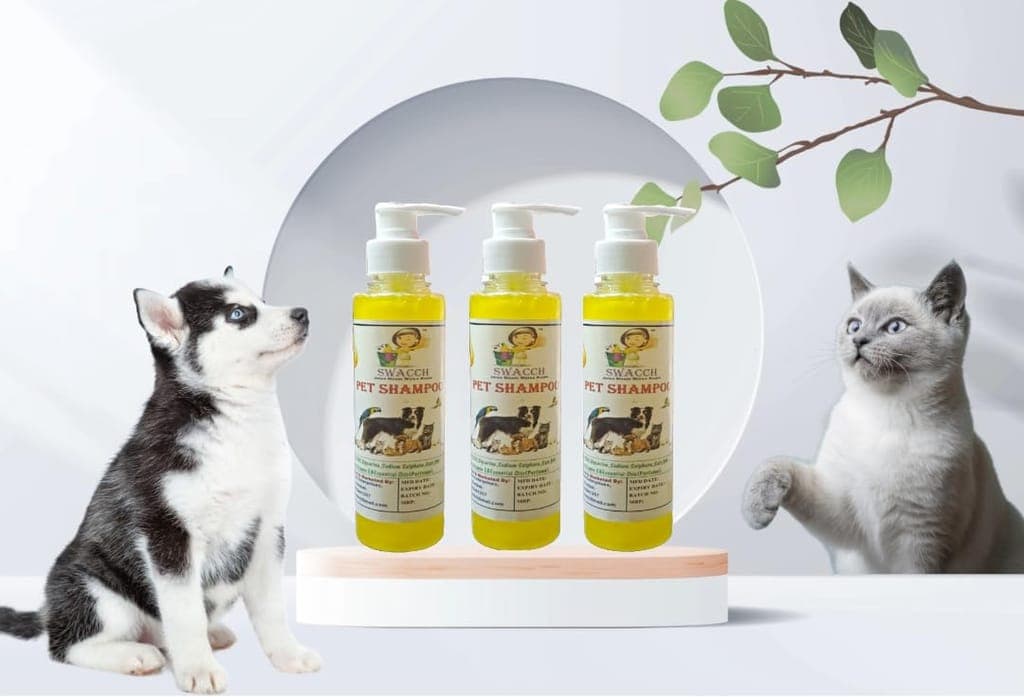 SWACCH Premium Shampoo for PET Shampoo (200ML) (Pack of 3) Lemon