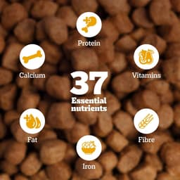 Product 12