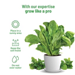 Product 5