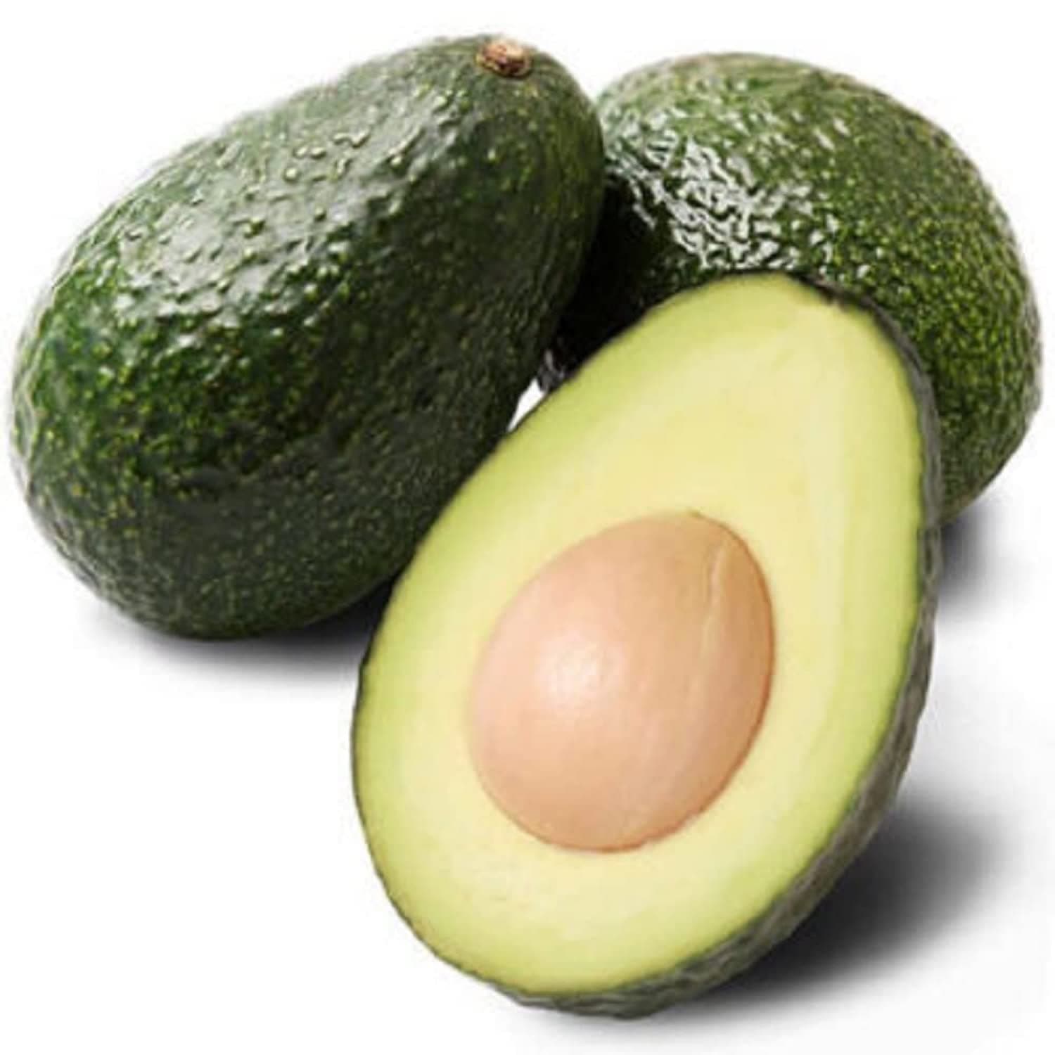 avocado-indian1
