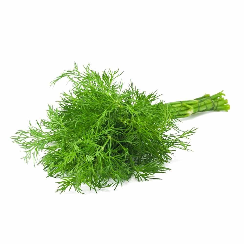 namdhari-dill-bunch,-150-gm1