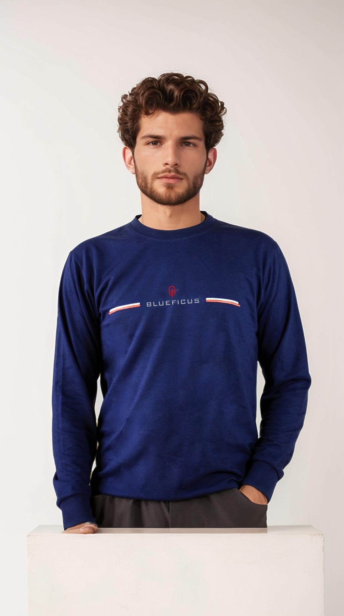 blueficus-men's-regular-fit-cotton-blend-loop-knit-pre-winter-sweatshirt-round-neck1