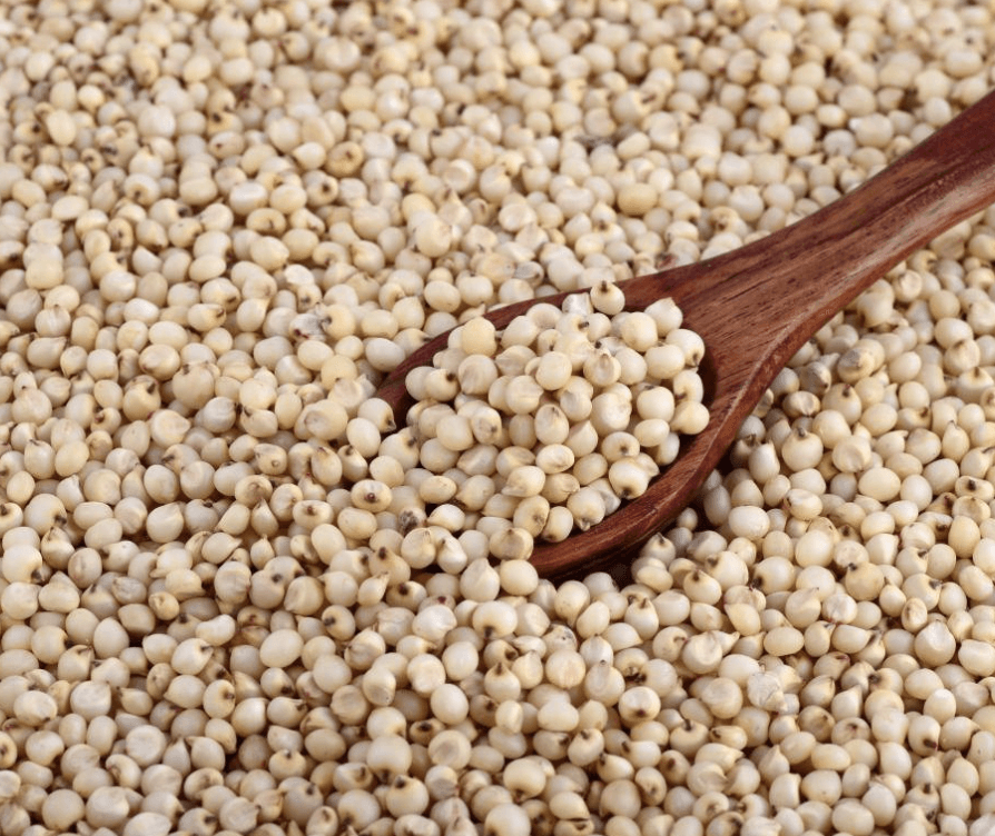 cholam-(sorghum)-rice1