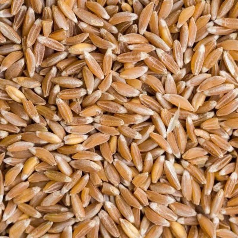 desi-utthana-organics-javagodhi-flour-500gms1