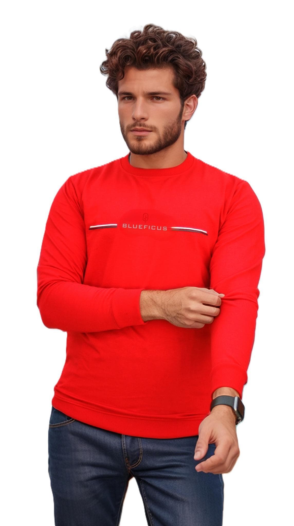 blueficus-men's-regular-fit-cotton-blend-loop-knit-pre-winter-sweatshirt-round-neck1