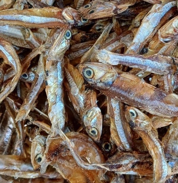 dried-anchovy-fishes----100-gm1