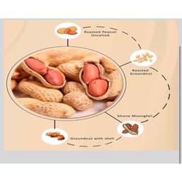 Product 4