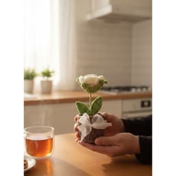 Product 4