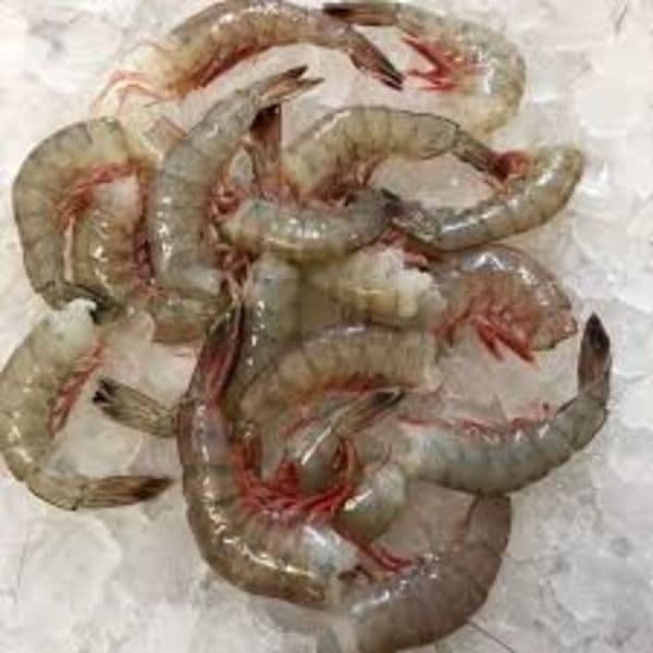 srimp---2-kg1