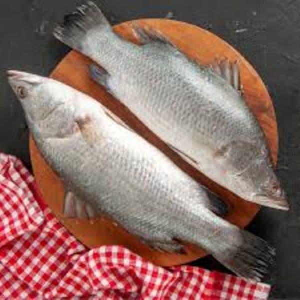 asian-seabass---1-kg---1-kg---one-for-one-kg1