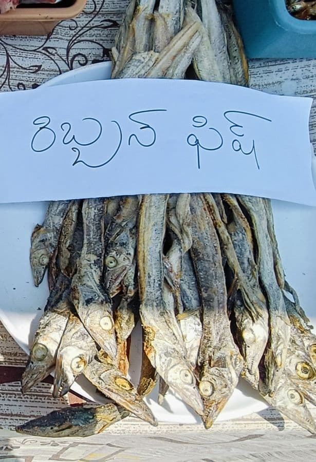 ribbon-fish-(-సావడాలు)---5-kg1