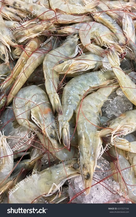 prawns---1-kg1
