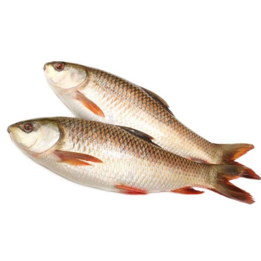 rohu-(ragandi)---0.65-kg1