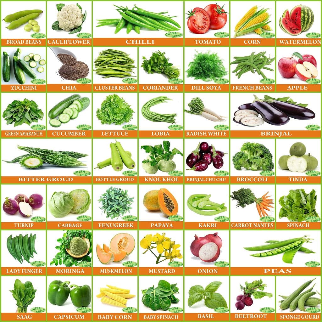 vrisa-green-45-varieties-of-vegetable-seeds-combo-with-instruction-manual-easy-to-grow1