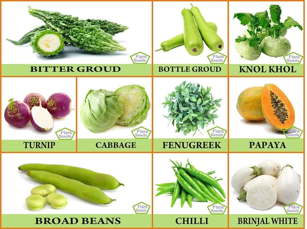 flare-seeds-10-varieties-of-vegetables-seeds-mini-combo-pack1