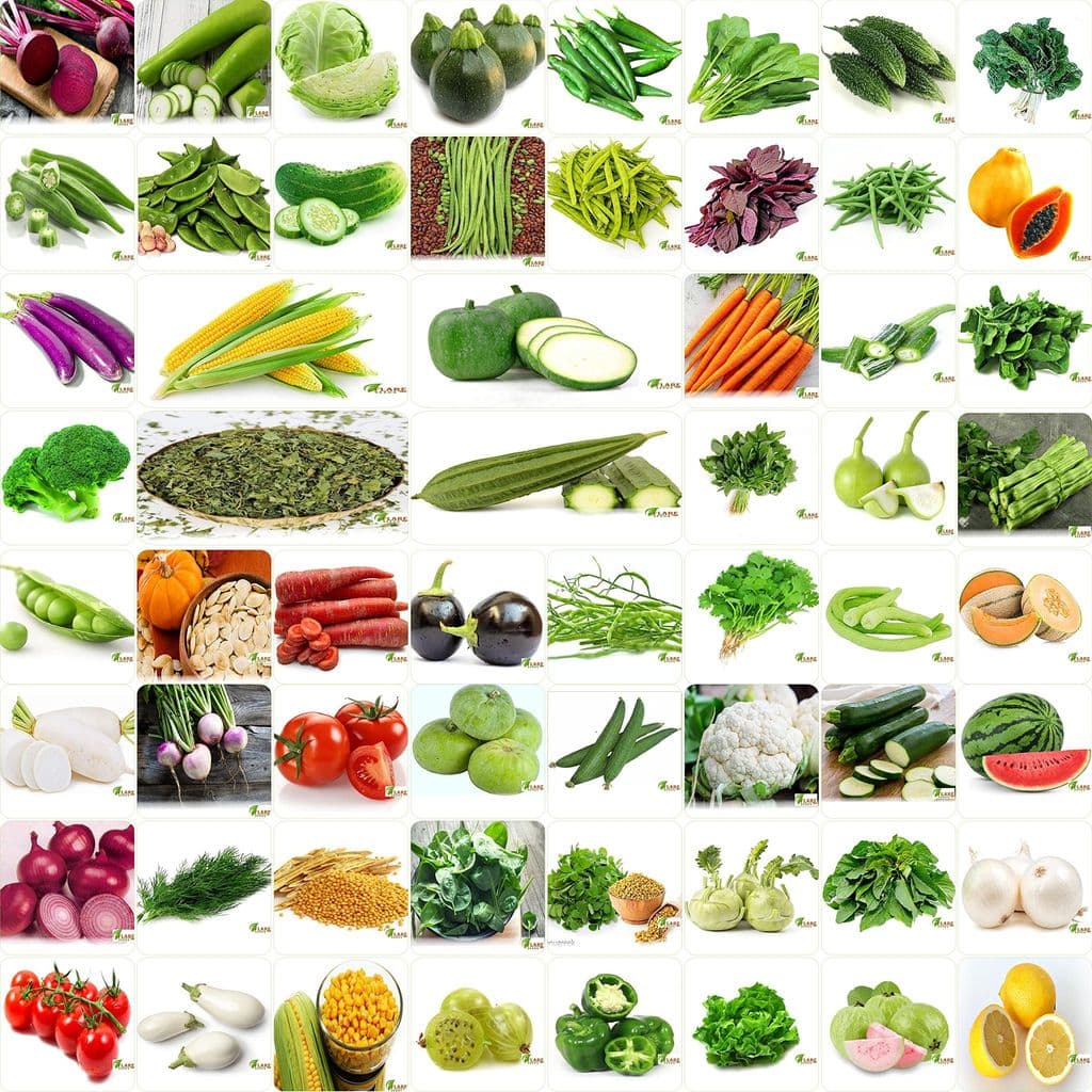 flare-seeds-no.1-vegetable-seeds,-winter,-summer,-home-garden,-seeds-bank,-organic-60-seeds-combo1