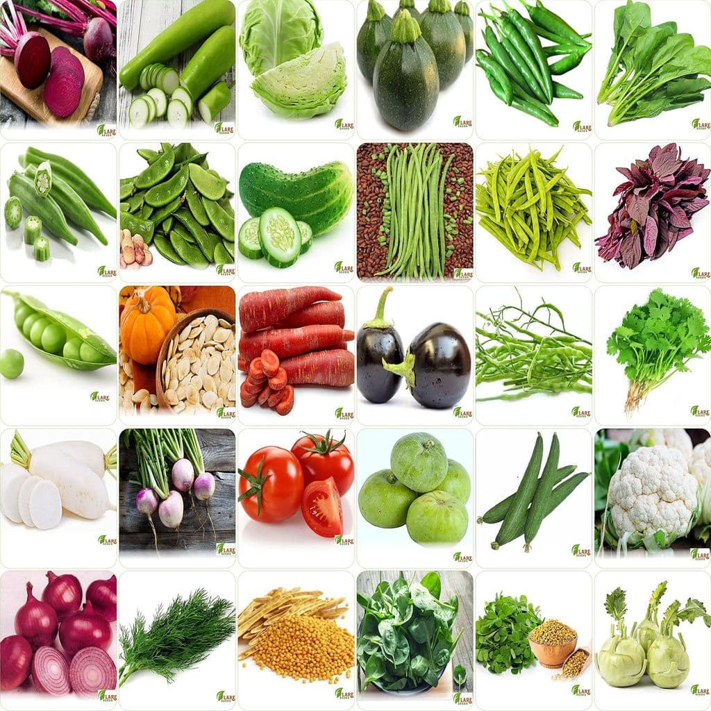 flare-seeds-no.1-vegetable-seeds,-winter,-summer,-home-garden,-seeds-bank,-organic-30-seeds-combo1