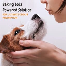 Product 7