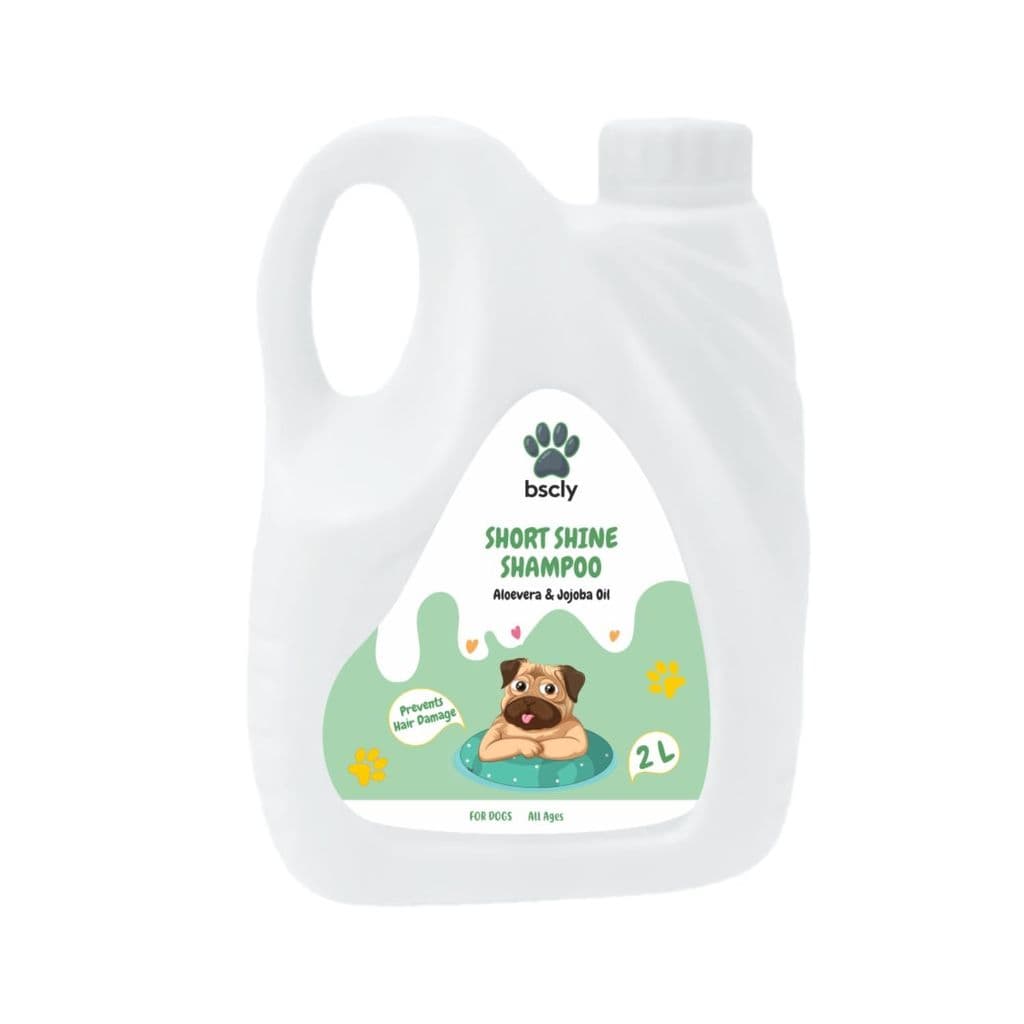 bscly-short-shine-shampoo---2l1