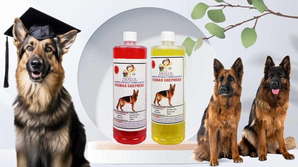 swacch-shampoo-specially-formulated-for-german-shepherd-(1litre)-(comb-pack-of-2)-jasmine-&-lemon1