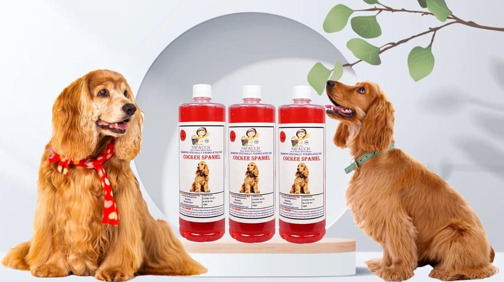swacch-shampoo-specially-formulated-for-cocker-spaniel-(1-litre)-(pack-of-3)-strawberry1