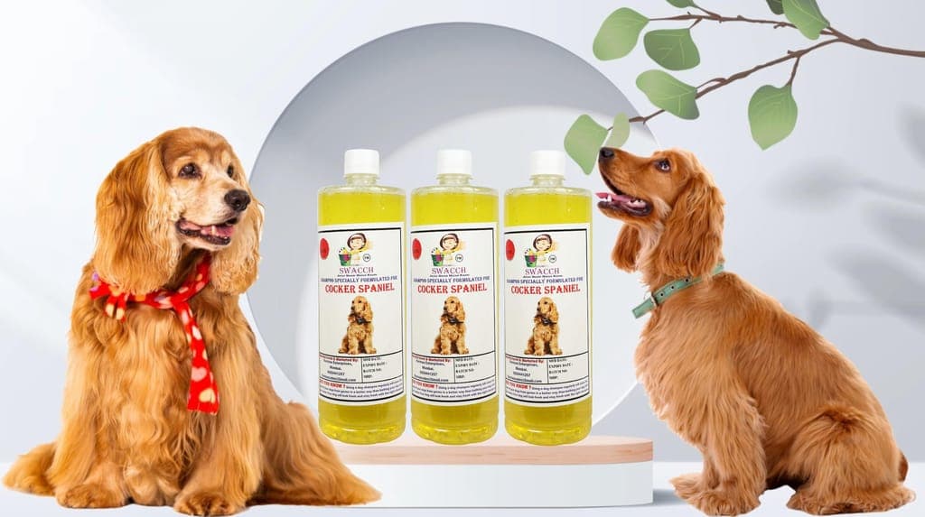 swacch-shampoo-specially-formulated-for-cocker-spaniel-(1-litre)-(combo-pack-of-3)-lemon1