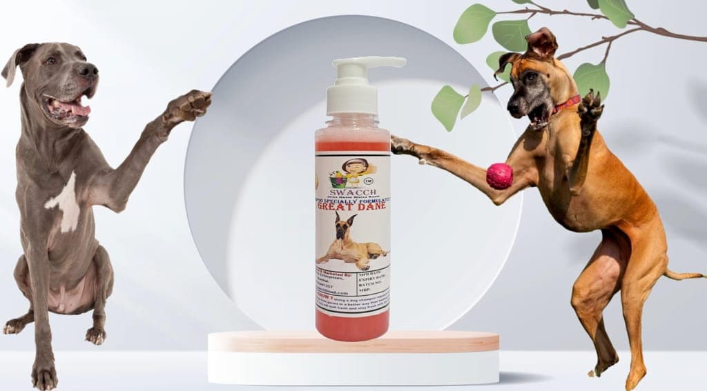 swacch-premium-shampoo-for-great-dane-(200ml)-strawberry1