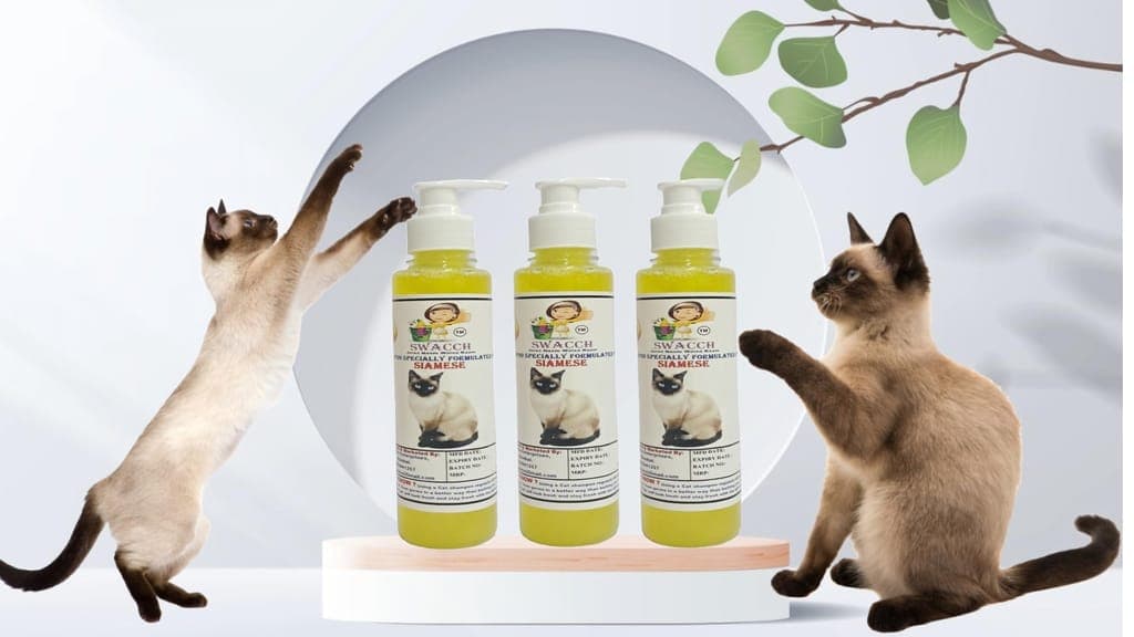 swacch-premium-shampoo-for-siamese-cat-(200ml)-(pack-of-3)-lemon1