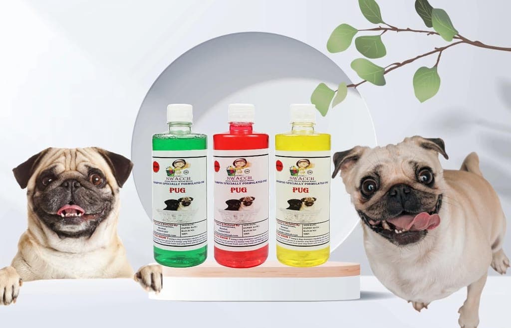swacch-shampoo-specially-formulated-for-pug-(500ml)-(combo-pack-of-3)-neem-alovera,-strawberry-&-lemon1