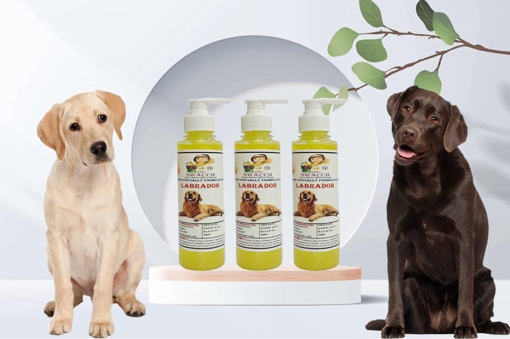 swacch-premium-shampoo-for-labrador-(200ml)-(pack-of-3)-lemon1