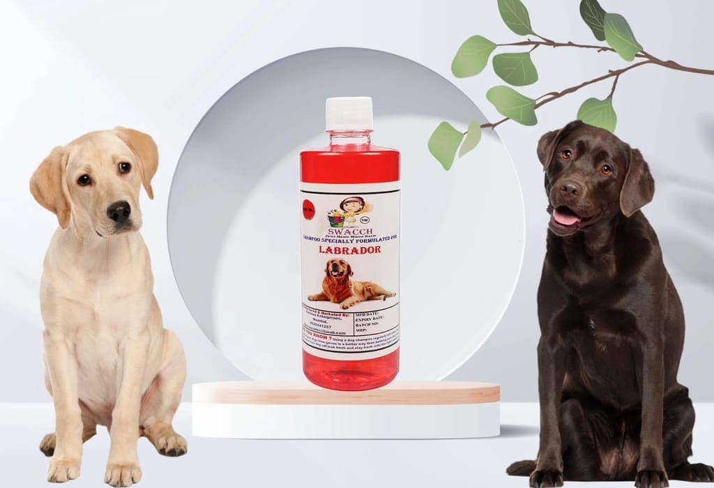 swacch-shampoo-specially-formulated-for-labrador-(500ml)-strawberry1