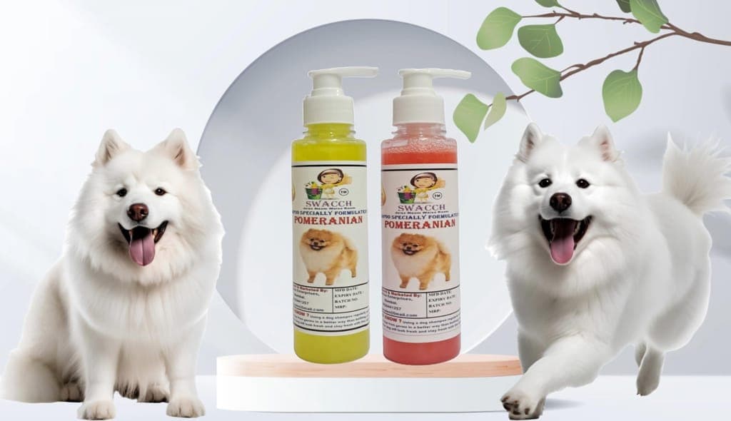 swacch-premium-shampoo-for-pomeranian-(200ml)-(combo-pack-of-2)-lemon-&-jasmine1