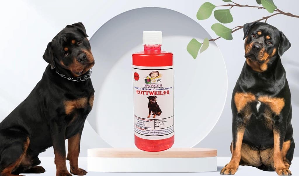 swacch-shampoo-specially-formulated-for-rottweiler-(500ml)-strawberry1