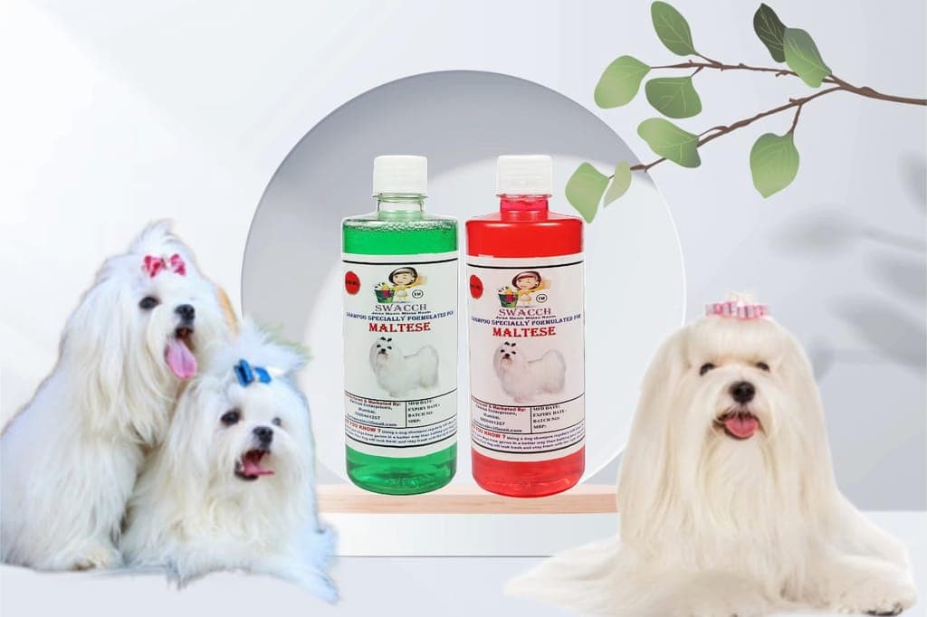 swacch-shampoo-specially-formulated-for-maltese-(500ml)-(combo-pack-of-2)-neem-alovera-&-strawberry1