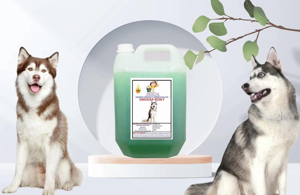 swacch-shampoo-specially-formulated-for-siberian-husky-(5-litre)-neem-alovera1