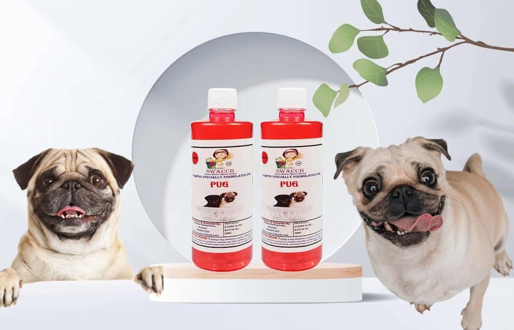 swacch-shampoo-specially-formulated-for-pug-(500ml)-jasmine-(pack-of-2)1